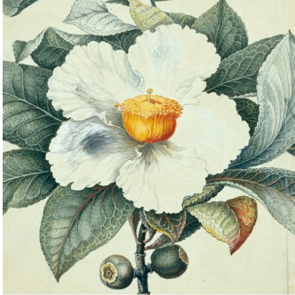 ๐ฟ๐๐ฟBUNDLE ๐ฟ๐๐ฟ to Save $$ on price & Shipping - Picture 6 of 9